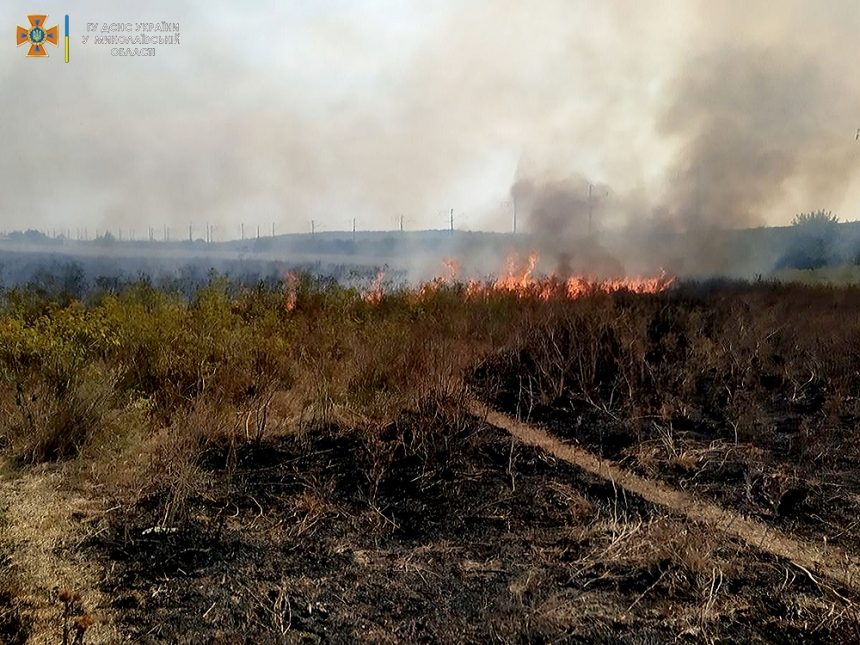 В Николаевской области фикисруют много природных пожаров (ФОТО)