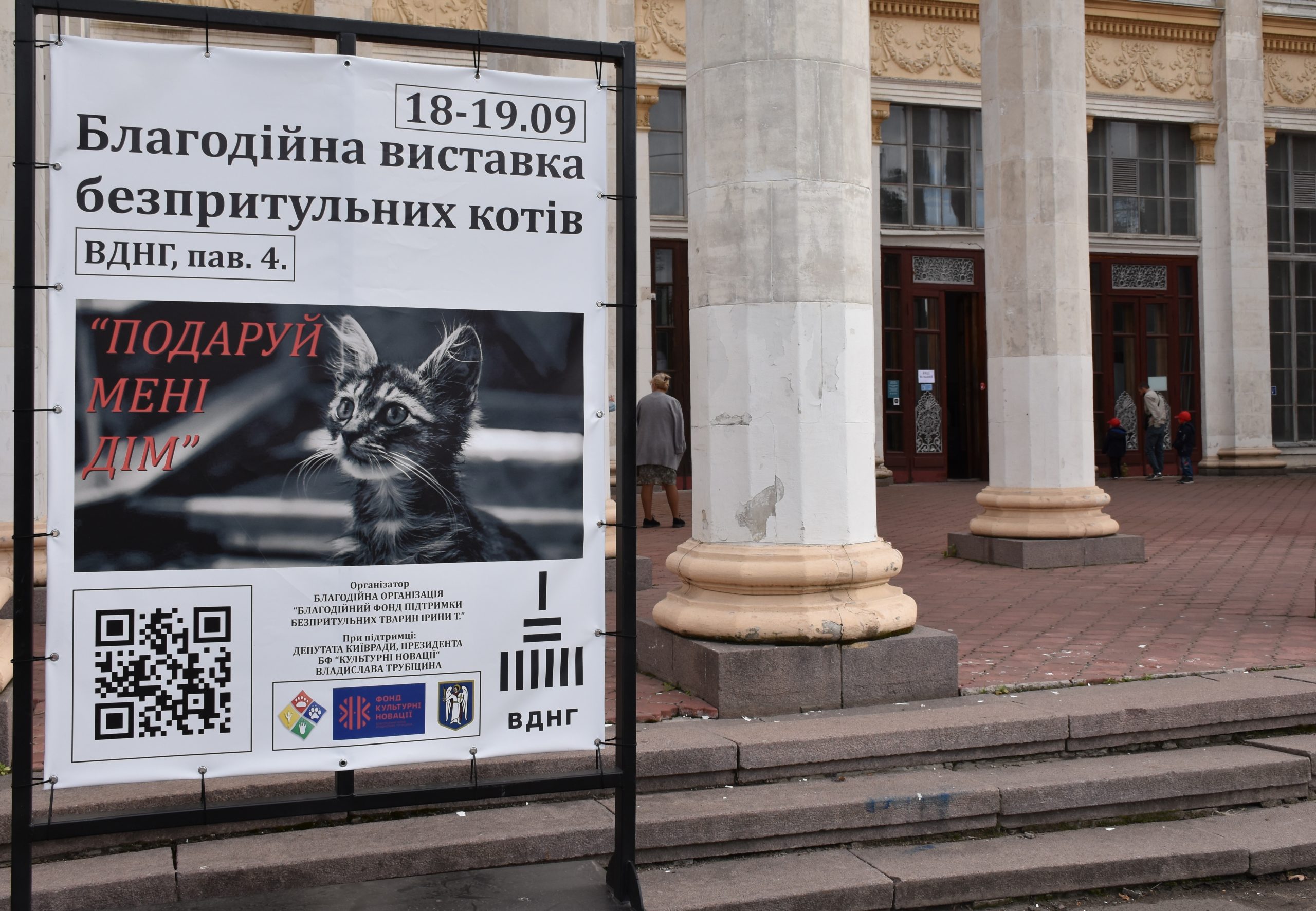 В Киеве проходит выставка беспризорных котов