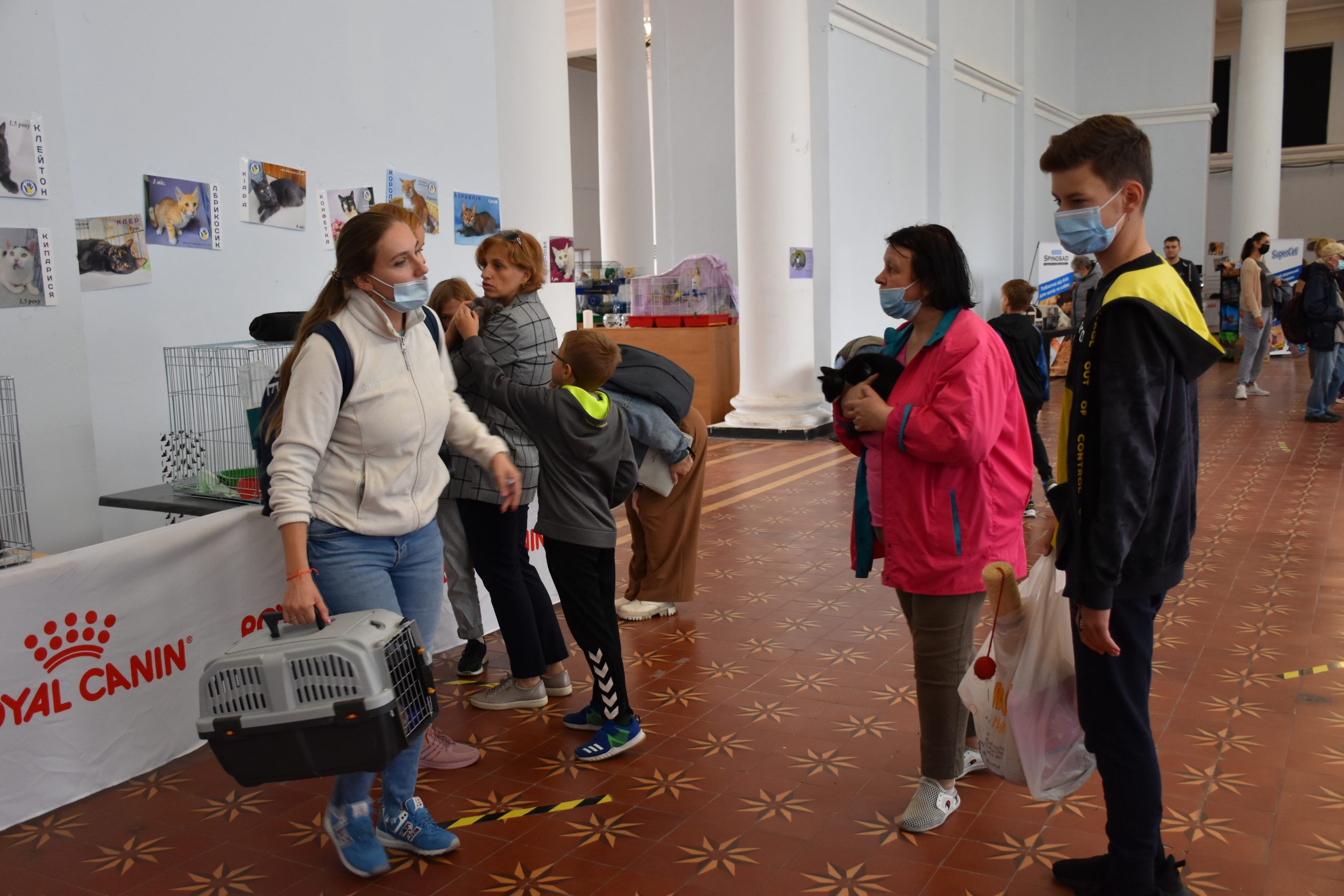 В Киеве проходит выставка беспризорных котов