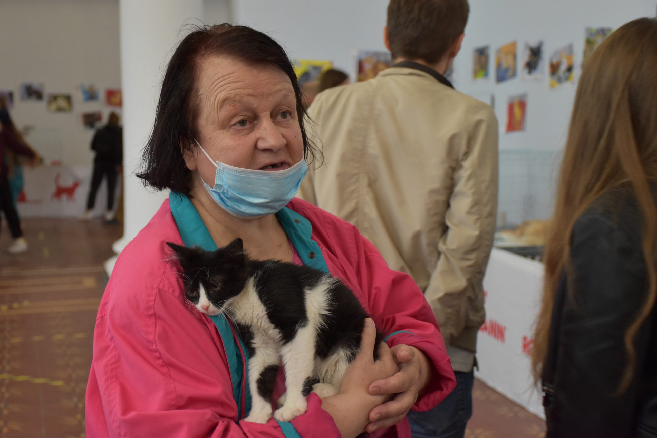 В Киеве проходит выставка беспризорных котов