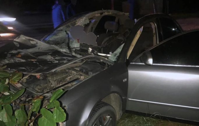 Авто влетело в лошадь на Буковине: есть погибшие (ФОТО)