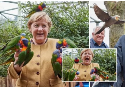 Фото Ангелы Меркель с попугаями стало вирусным в Сети