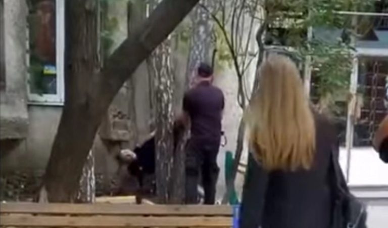 В Бердянске парень под «кайфом» застрял вниз головой на дереве (ВИДЕО)