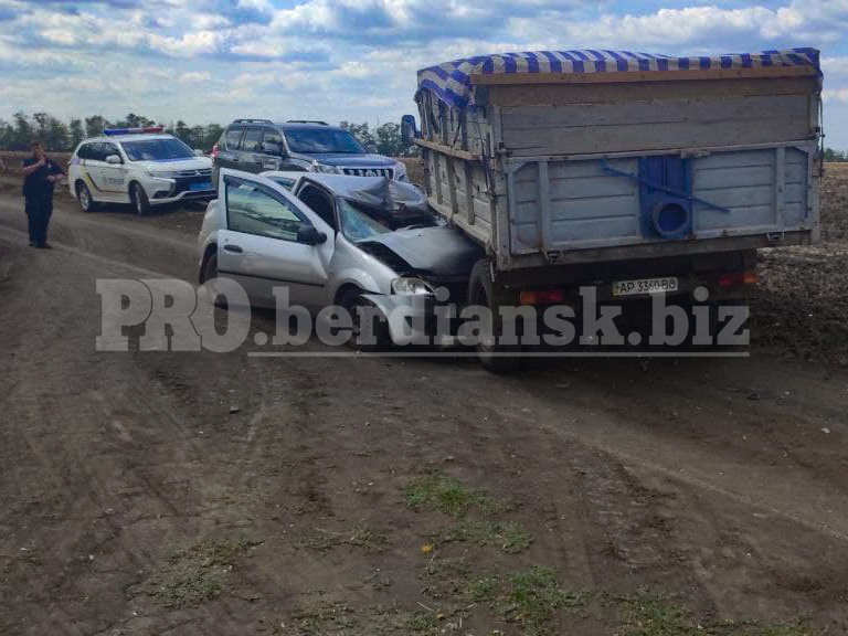 В Запорожской области Renault влетел под грузовик ГАЗ: водитель скончался (ФОТО)