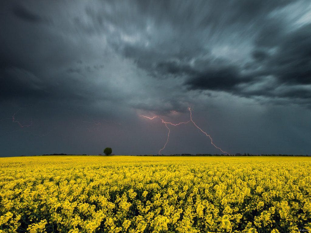 Объявлено штормовое предупреждение по всей Украине