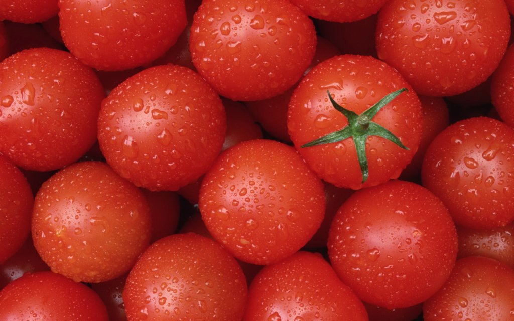 Токсиколог рассказал, как распознать опасные помидоры
