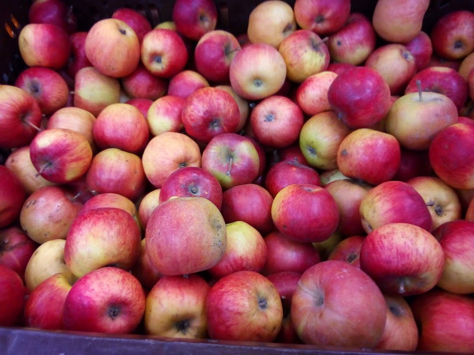 Яблоки помогут приучить себя к здоровой еде &#8212; ученые