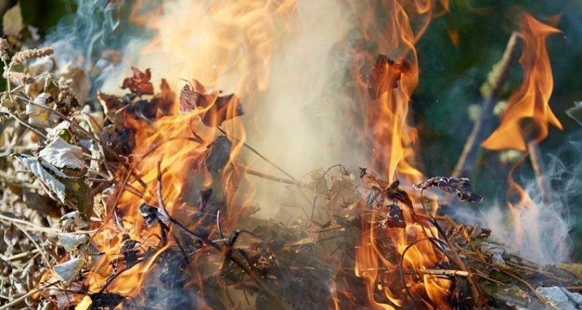 Под Днепром женщина жгла листья и сгорела