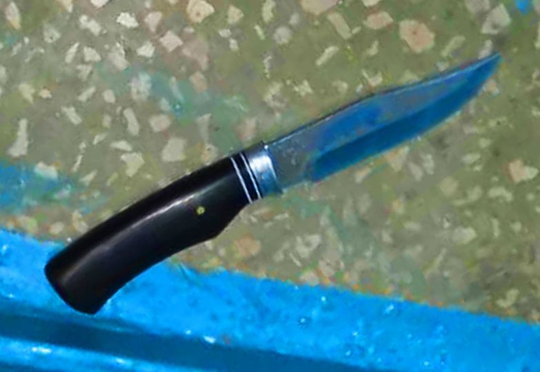 Житель Киевщины ранил себя ножом у двери экс-супруги (ФОТО)