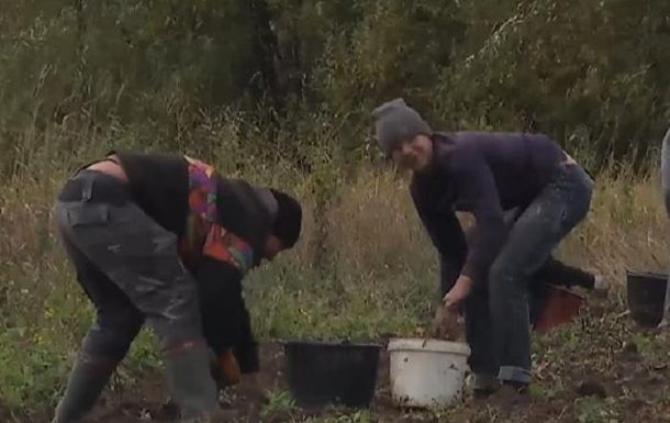 Вместо школы сельские ученики вышли в поле копать картошку (ВИДЕО)