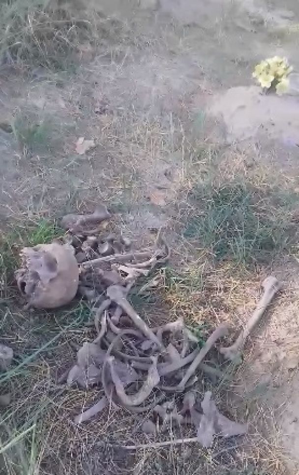 В Ахтырке на собачьей могиле нашли человеческие кости (ФОТО)