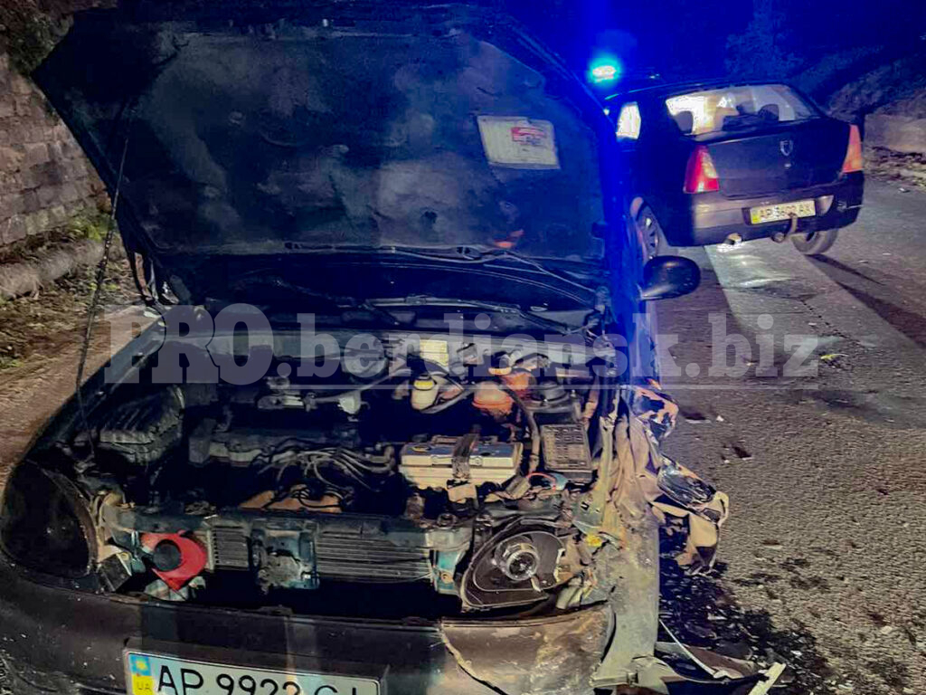 Лоб в лоб: в Бердянске столкнулись Daewoo и Dacia (ФОТО)