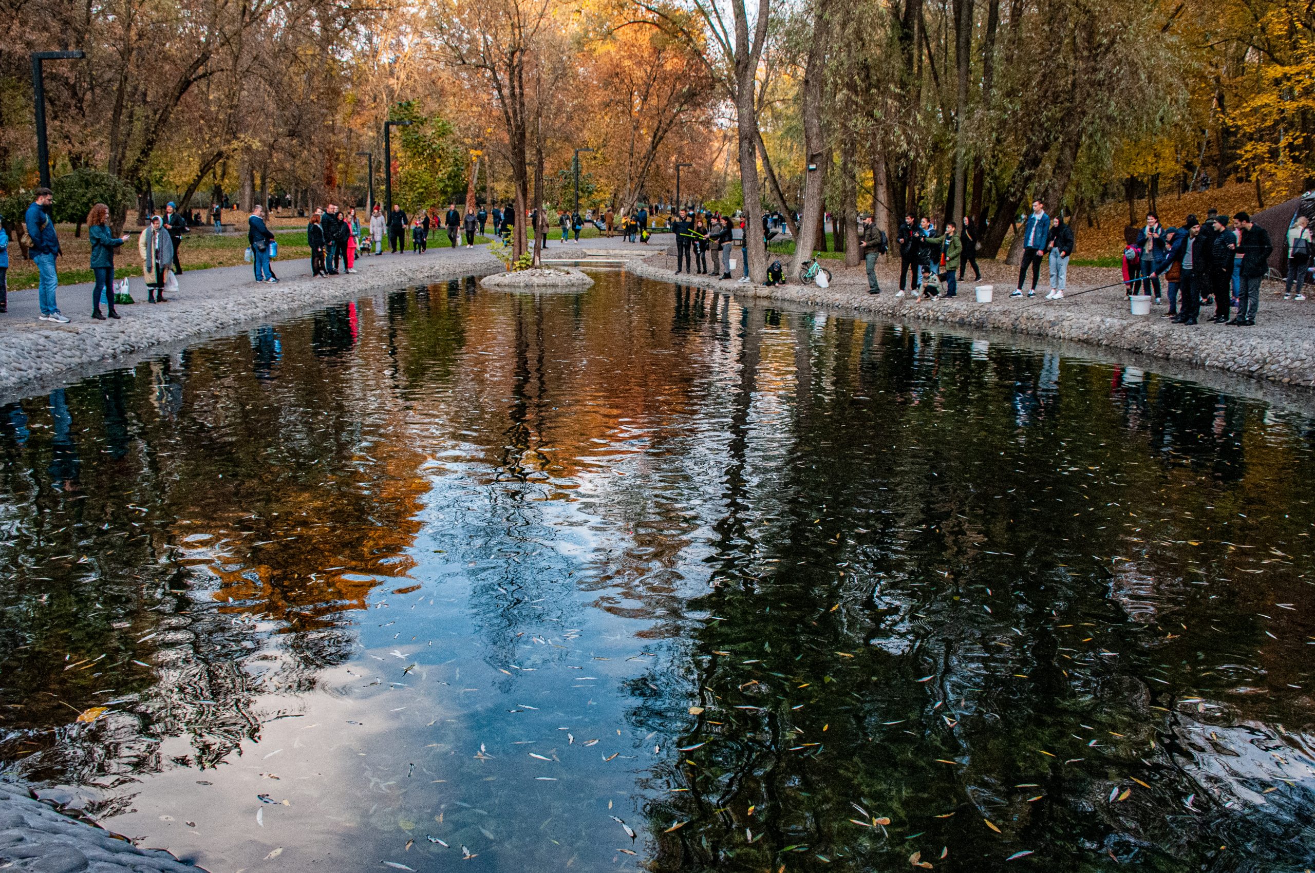 Осень в Харькове