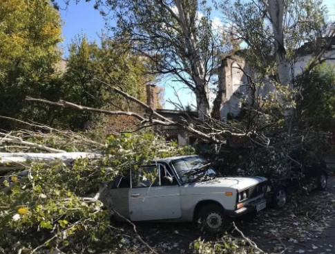 В Одессе деревья рухнули на авто, пострадал мужчина (ФОТО, ВИДЕО)