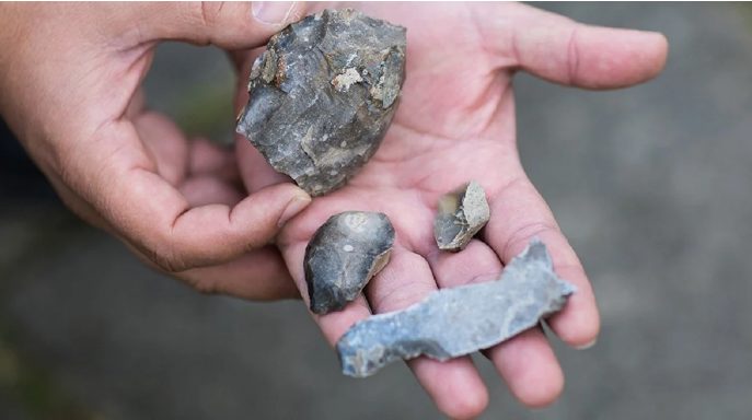 Под Киевом археологи обнаружили места жизни первобытных охотников (ФОТО)