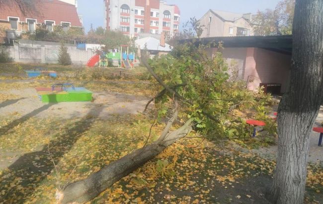 В Кременчуге на детей упало дерево в детсаду (ФОТО)