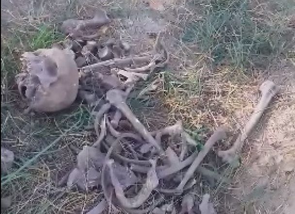 На кладбище для животных в Сумской области лежали человеческие кости (ФОТО)