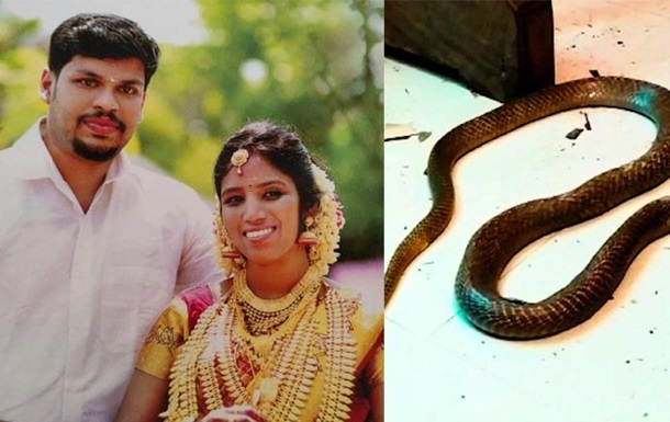 Убил ради приданого: Житель Индии бросил жене в постель кобру (ФОТО)