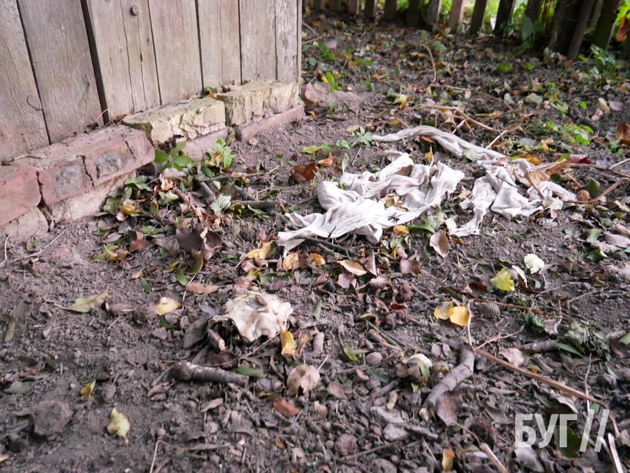 На Волыни «оккультные» живодеры убивают на кладбище кошек и собак (ВИДЕО)