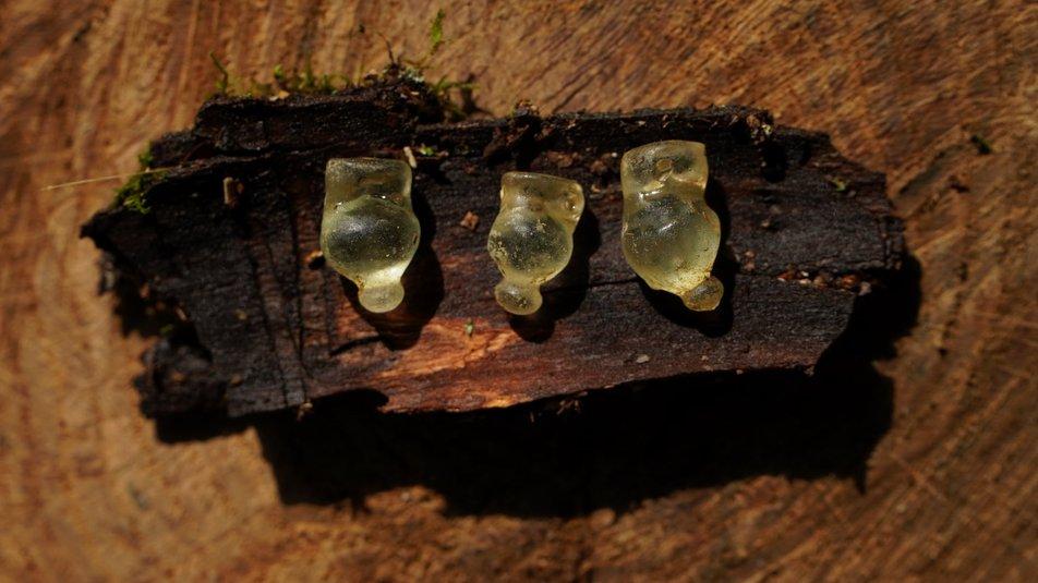 Полтавские археологи показали стеклянные подвески, которым 2500 лет (ФОТО)