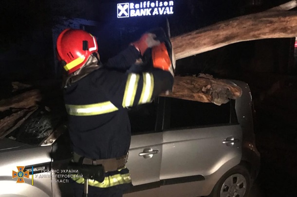 В Кривом Роге на автомобили упало дерево: одного водителя госпитализировали (ФОТО)