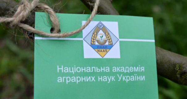 «Слуги народа» Черноморов и Гунько лоббируют замену руководства НААН с целью захвата научных земель?