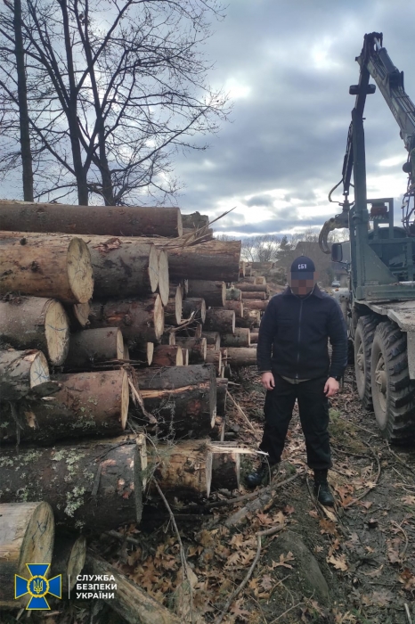 На Прикарпатье СБУ накрыла «черных» экспортеров древесины (ФОТО)