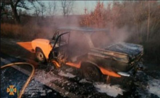 На Днепропетровщине на обочине сгорел ВАЗ (ФОТО)