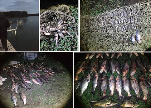 Под Харьковом в пруду нашли браконьерские сети с рыбой (ФОТО)