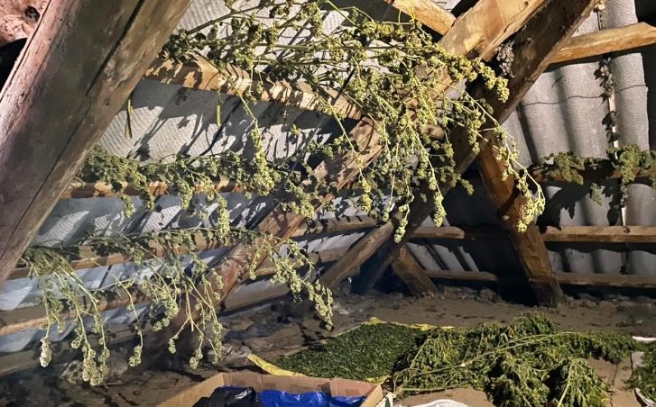 В Николаевской области у местного жителя изъяли 5 килограммов конопли (ФОТО)