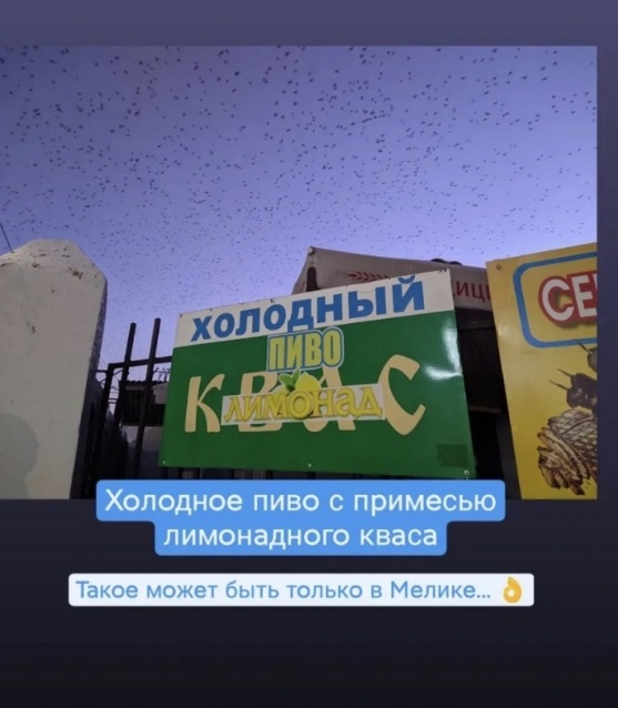 «Так пиво или квас?»: на мелитопольском рынке продемонстрировали чудеса «креатива» (ФОТО)