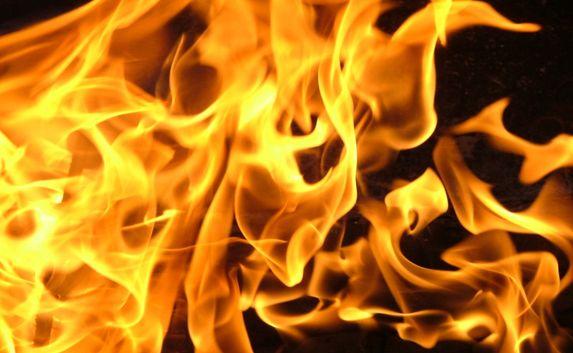 В Одесской области горел жилой дом: пострадали четверо детей и мужчина &#8212; ГСЧС