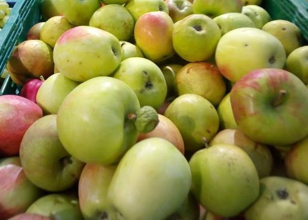Диетологи предостерегли от поедания яблок целиком
