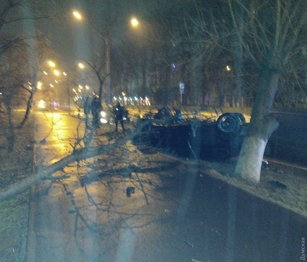 В Одесской области BMW во время обгона перевернулся и влетел в дерево (ФОТО)
