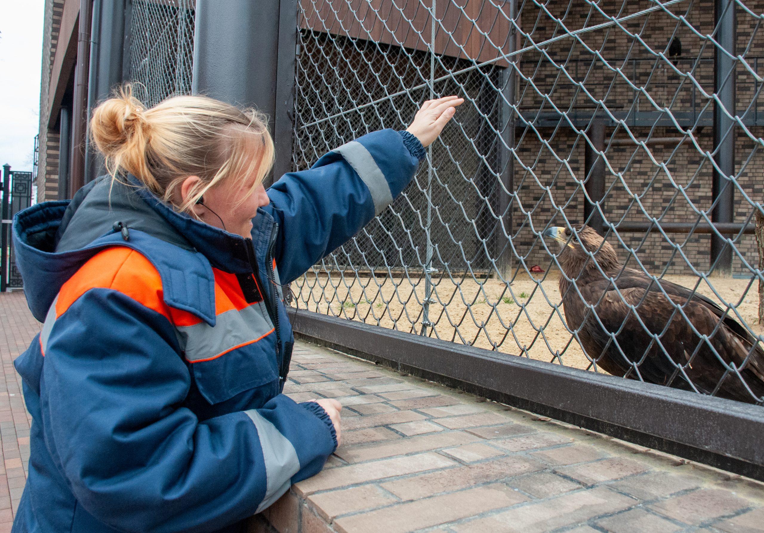 100 дней с открытия: как сейчас живут питомцы в харьковском зоопарке