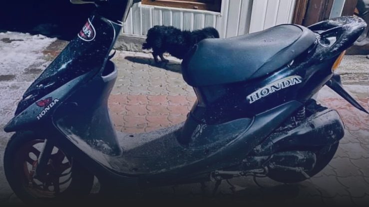 На Прикарпатье пьяный на скутере сбил пешехода (ФОТО)