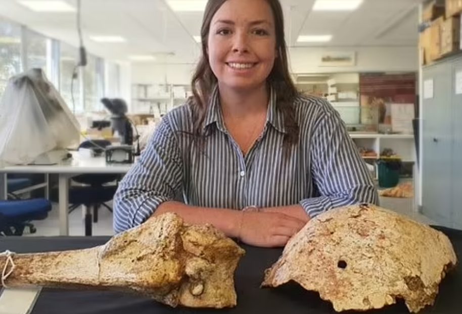 Ученые раскрыли секрет вымирания гигантских громовых птиц в Австралии (ФОТО)