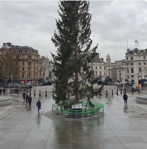 Лысое деревцо: британцы ужаснулись главной рождественской елке в Лондоне (ФОТО)