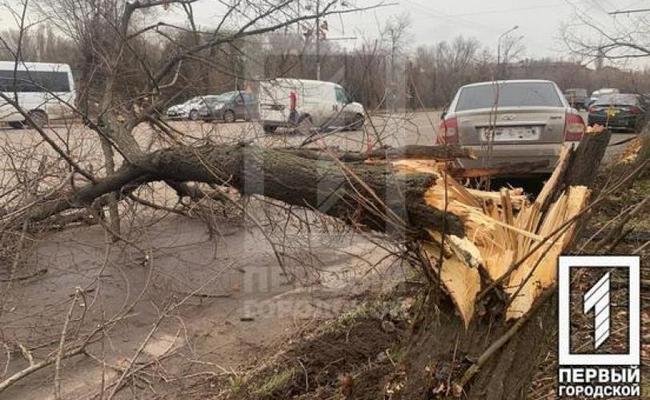 В Кривом Роге – тройное ДТП: на Chevrolet упало дерево (ФОТО)