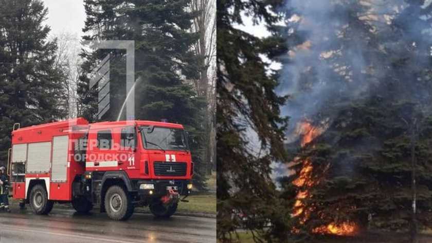 В Кривом Роге вспыхнула елка под университетом (ФОТО)