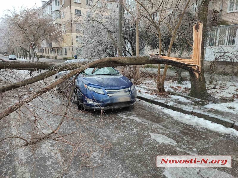 В центре Николаева огромная ветка упала на автомобиль и перегородила дорогу (ФОТО)