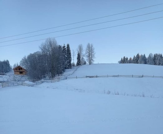 Похолодало до -20 градусов: Горные села Буковины замело снегом (ФОТО)