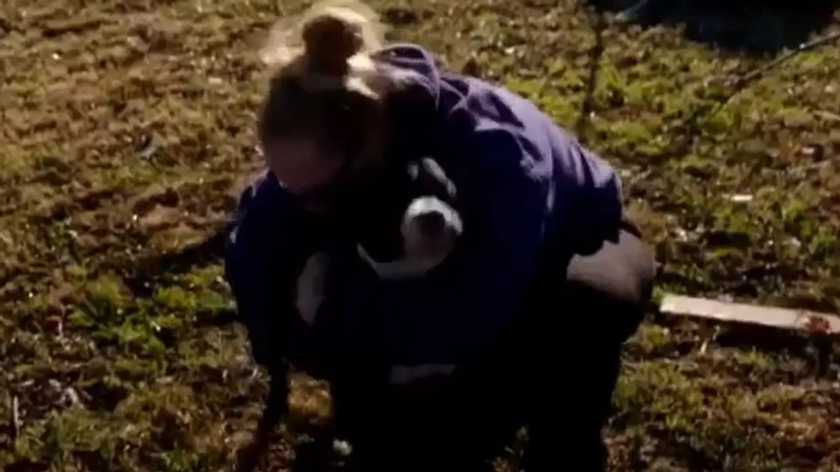 Собака эмоционально встретилась с хозяйкой после торнадо (ВИДЕО)