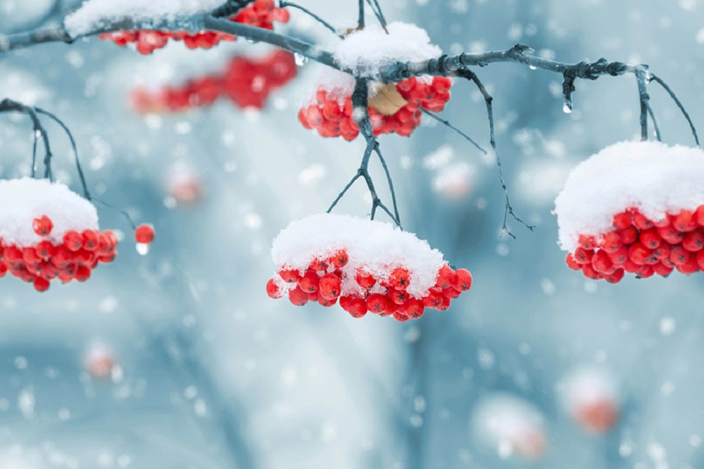 Погода 3 декабря: на западе и севере – снег, ночью до – 12 градусов мороза