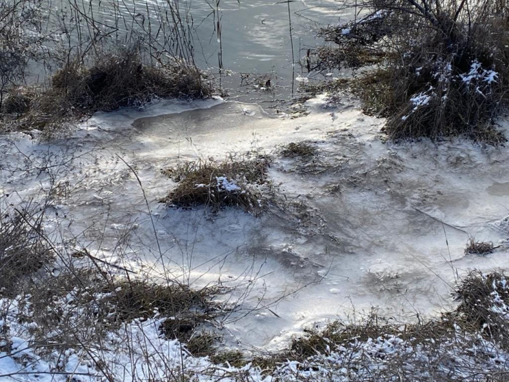 В Кривом Роге загрязненная вода прорвала дамбу (ФОТО)