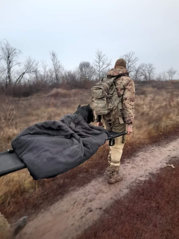 Попавший в ловушку пес-разведчик ВСУ отгрыз себе лапу (ФОТО)