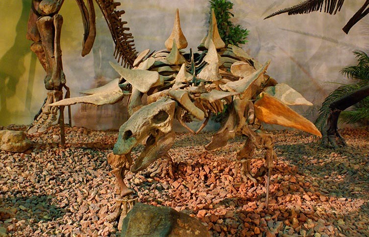 Травоядные динозавры вымерли, потому что плохо видели и слышали