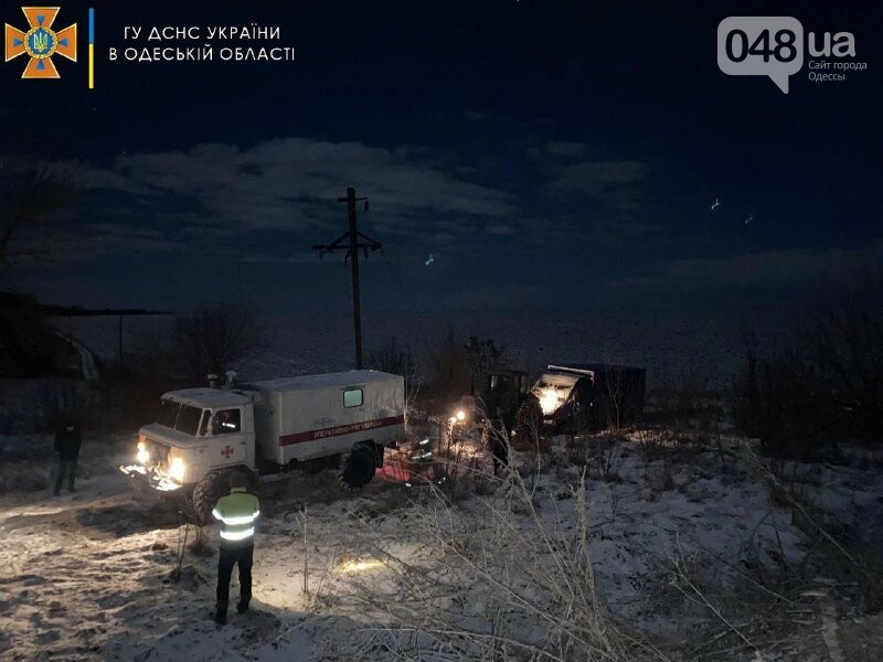 В Одесской области в кювет упал микроавтобус с коровами (ФОТО)