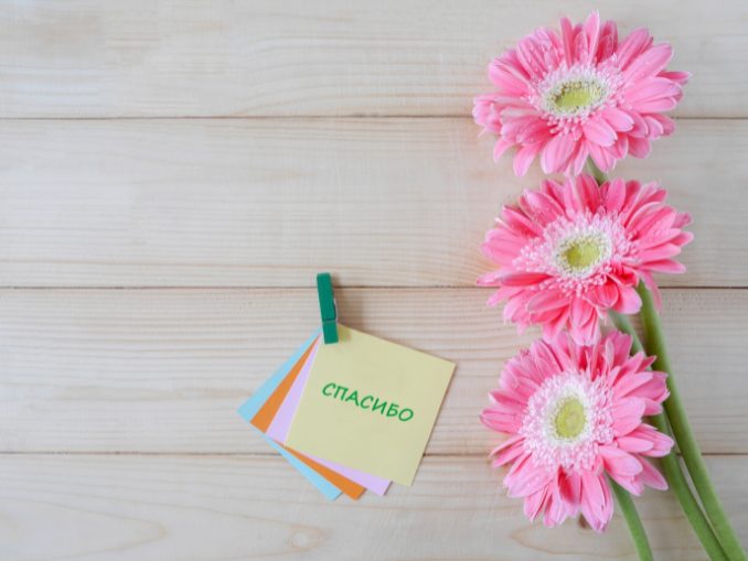 Сегодня Международный день «спасибо»