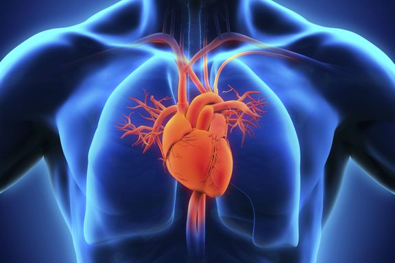 Искусственный интеллект научили предсказывать риск сердечного приступа и инсульта по рентгену